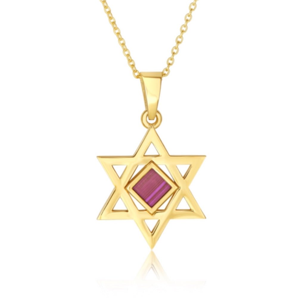 מגן דוד זהב 14 קראט משובץ ננו תנ"ך - תיק התיקיםJerusalem Nano Bible