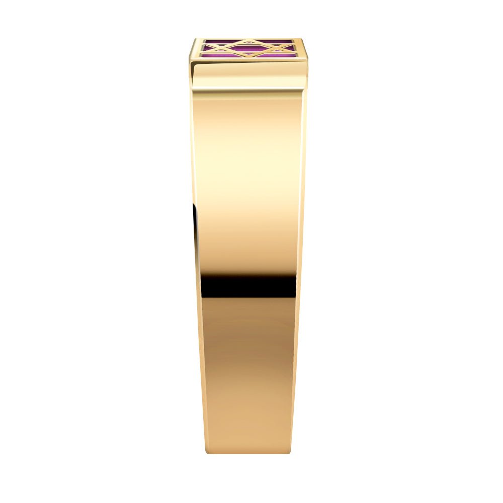 טבעת זהב 14 קראט משובצת ננו תנ"ך - תיק התיקיםJerusalem Nano Bible Jewelryחנות "ג'רוזלם ננו תנ"ך" היחיד שמיוצר בישראל