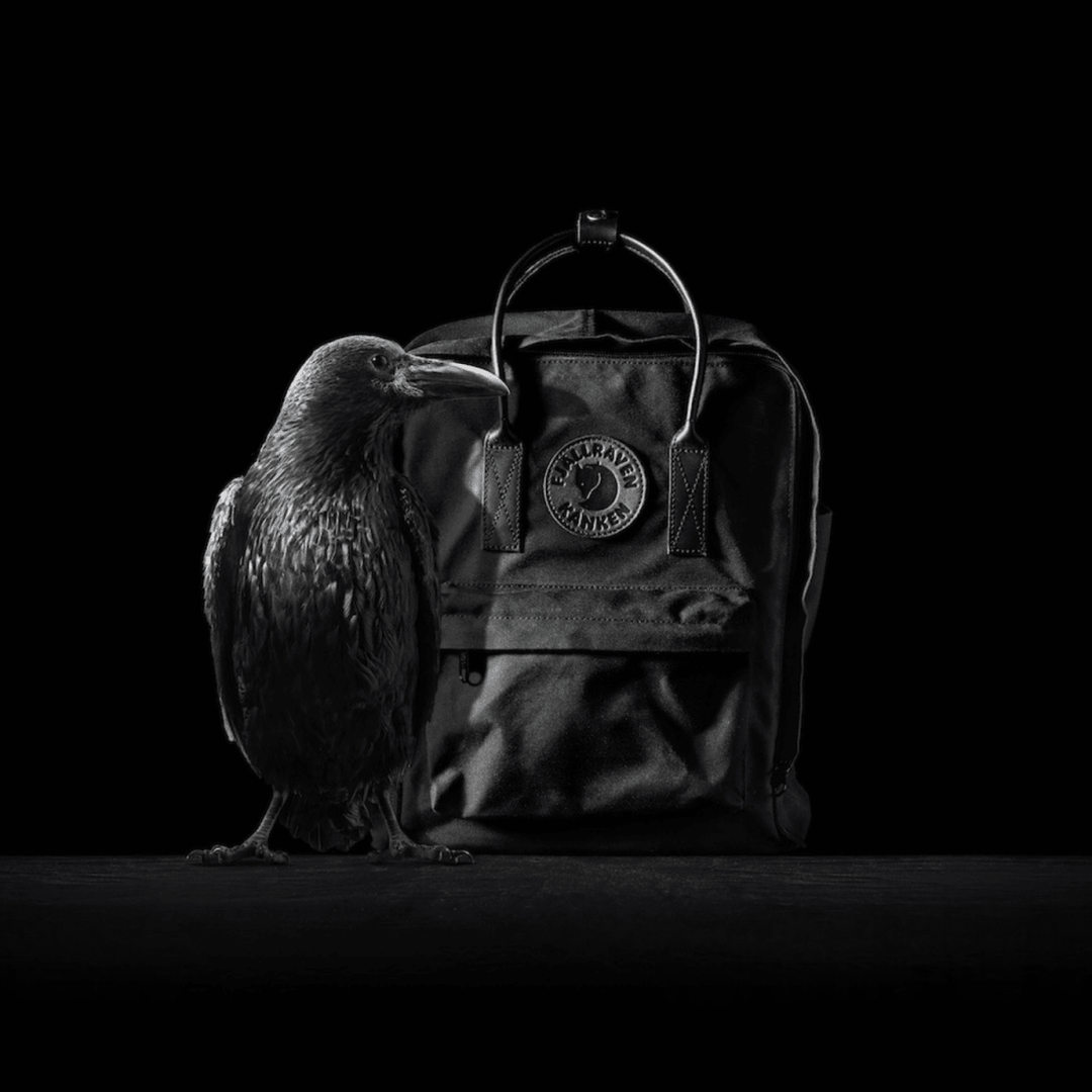 תיק גב Fjällräven Kånken No. 2 Black 16 ליטר - תיק התיקיםFjallravenתיקי גב