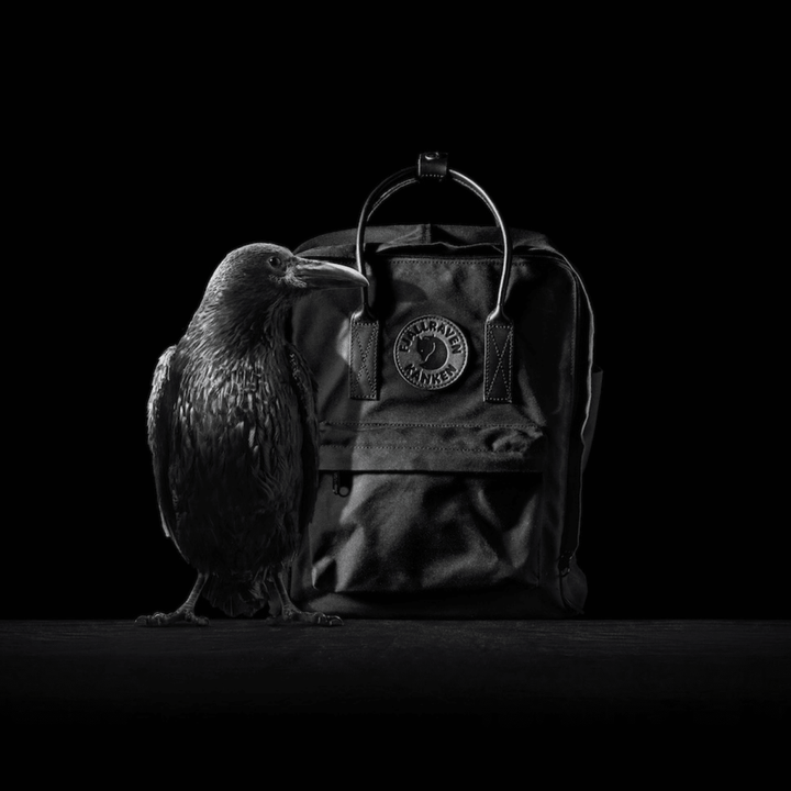 תיק גב Fjällräven Kånken No. 2 Black 16 ליטר - תיק התיקיםFjallravenתיקי גב
