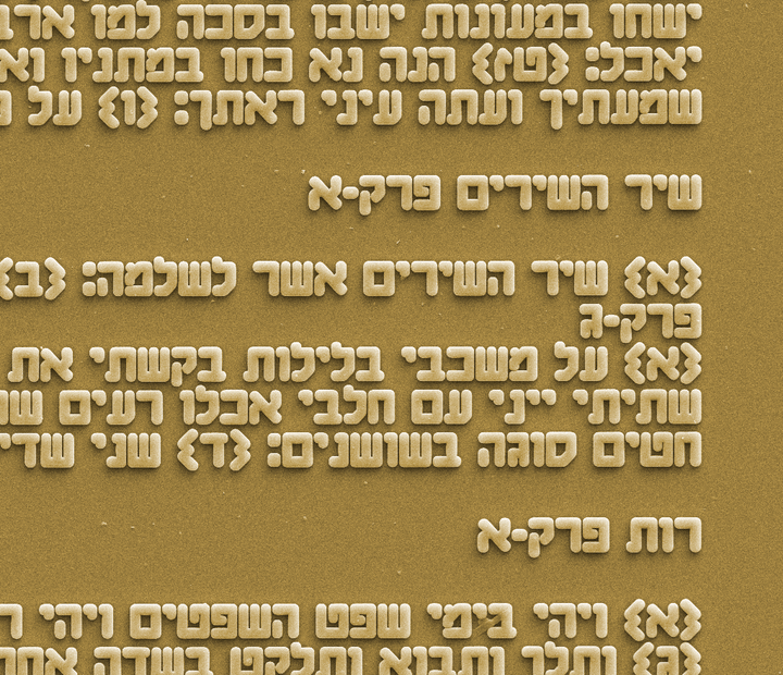 שרשרת חמסה עדינה עם ננו תנ"ך - תיק התיקיםJerusalem Nano Bible