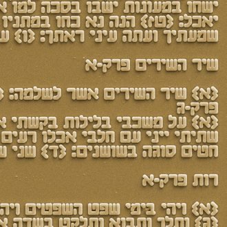 שרשרת אמא יש רק אחת עם ננו תנ״ך וזירקון - תיק התיקיםJerusalem Nano Bible Jewelry