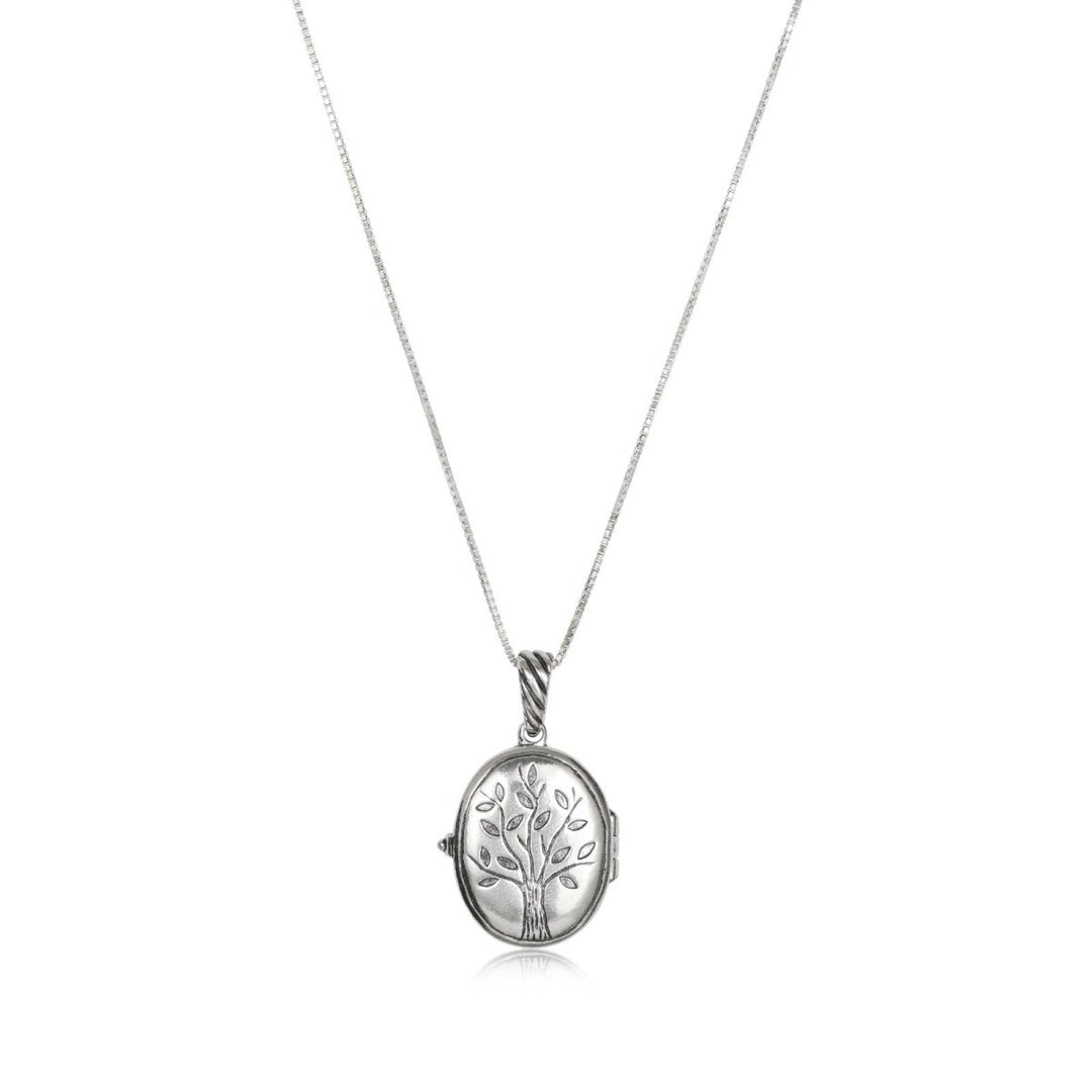 לוקט עץ החיים עם ננו תנ״ך בפנים - תיק התיקיםJerusalem Nano Bible Jewelry