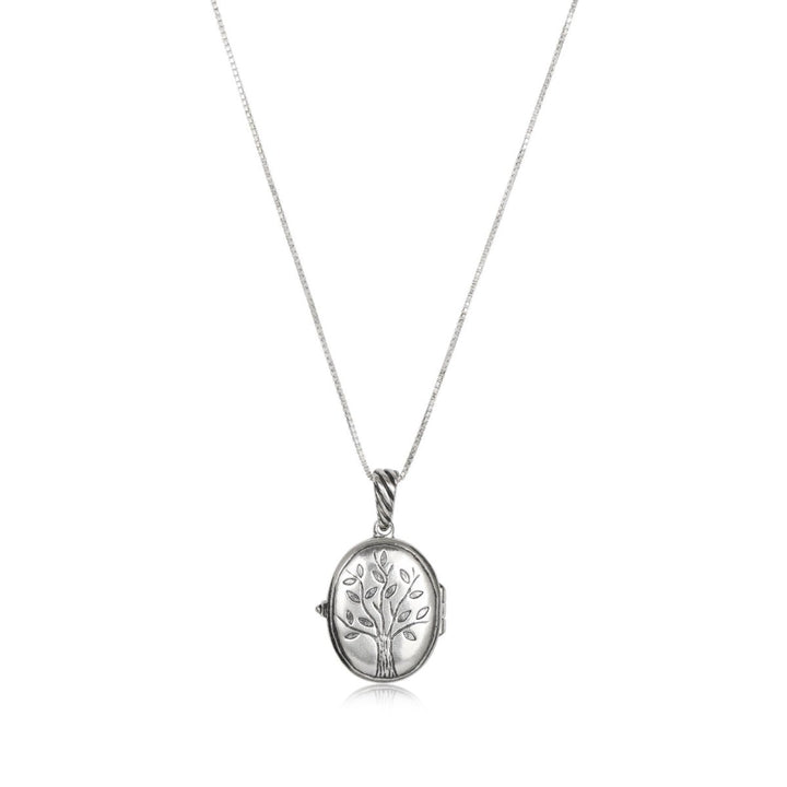 לוקט עץ החיים עם ננו תנ״ך בפנים - תיק התיקיםJerusalem Nano Bible Jewelry