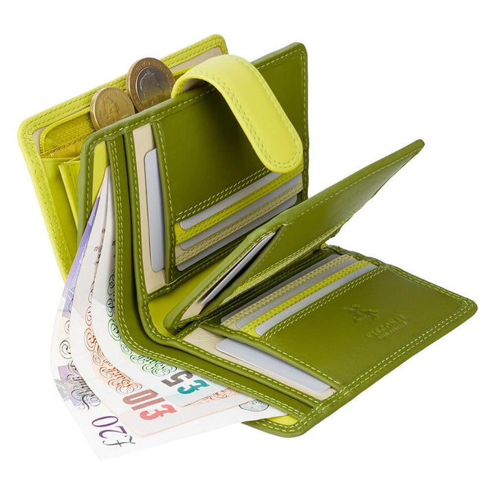 VISCONTI ארנקון צבעוני דגם Fiji - תיק התיקיםVISCONTIנשים