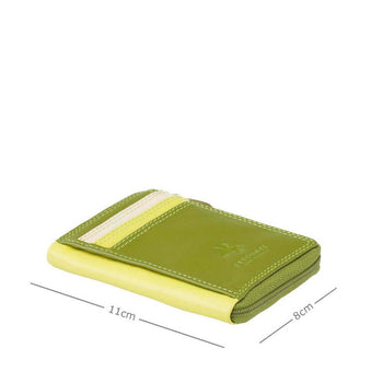 VISCONTI ארנקון צבעוני דגם Phi PHI - תיק התיקיםVISCONTIנשים